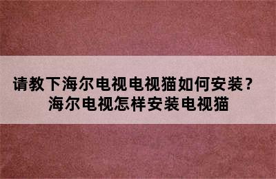 请教下海尔电视电视猫如何安装？ 海尔电视怎样安装电视猫